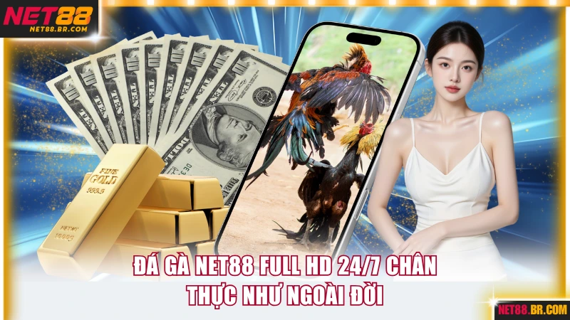 Đá gà NET88 full HD 24/7 chân thực như ngoài đời